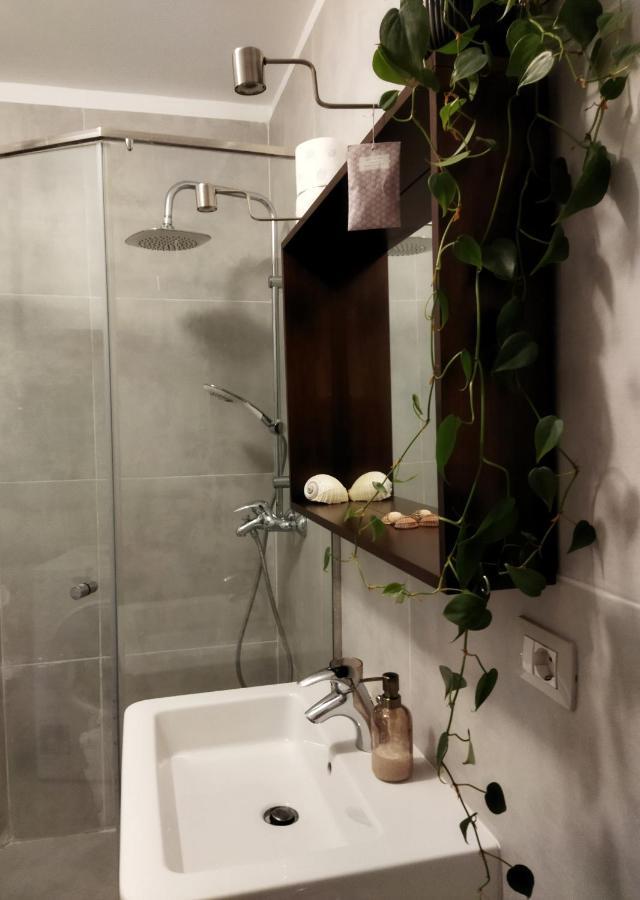 Diti Cozy Apartment ティラナ エクステリア 写真
