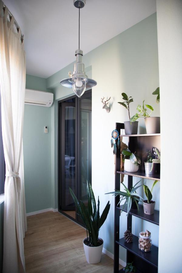 Diti Cozy Apartment ティラナ エクステリア 写真